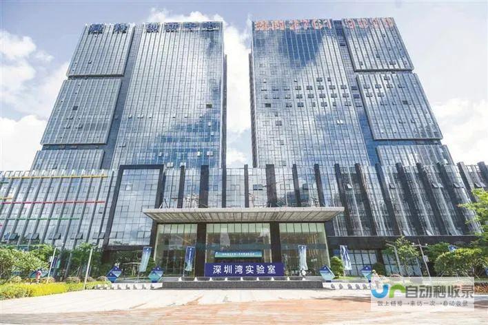 深圳领先的网站公司：助您在互联网时代脱颖而出